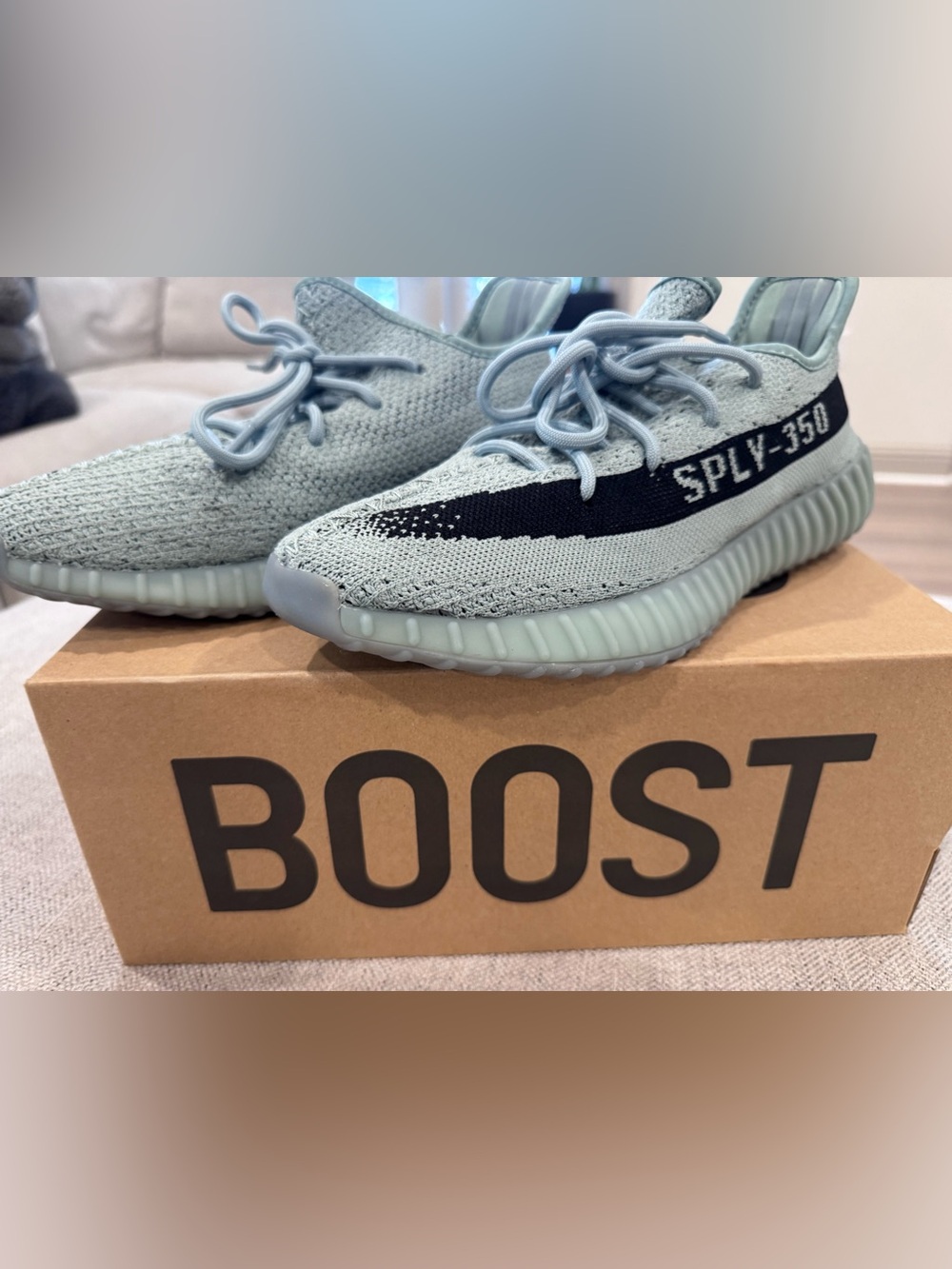 Adidas Yeezy 350 V2 Salt, in 9.5 men’s size